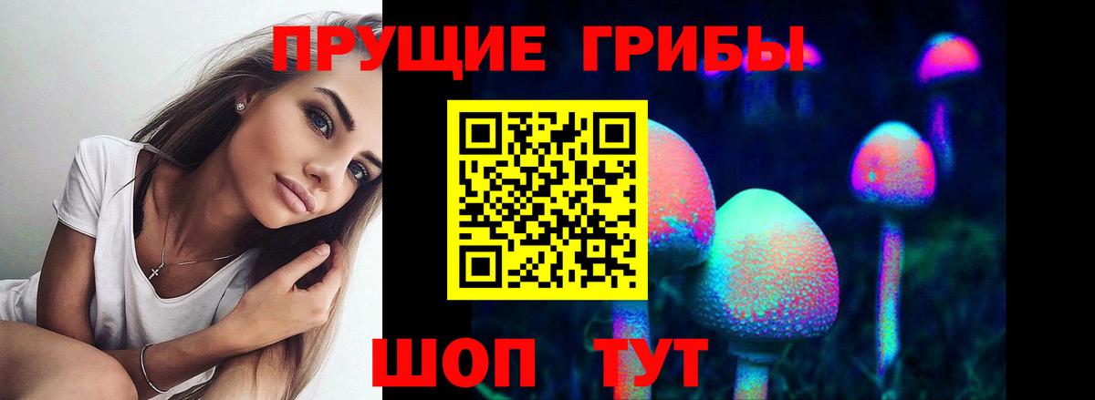 Галлюциногенные грибы Cubensis  Вход с VPN  Пенза  Псилоцибиновые грибы MAGIC MUSHROOMS 